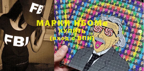хмурый Алексин
