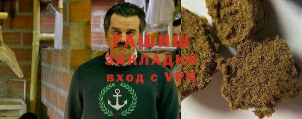 хмурый Алексин